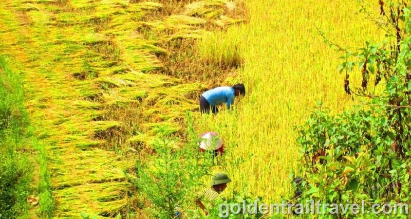 Vietnam in Depth Tour 16 Days